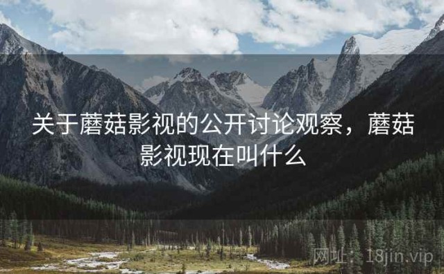 关于蘑菇影视的公开讨论观察，蘑菇影视现在叫什么
