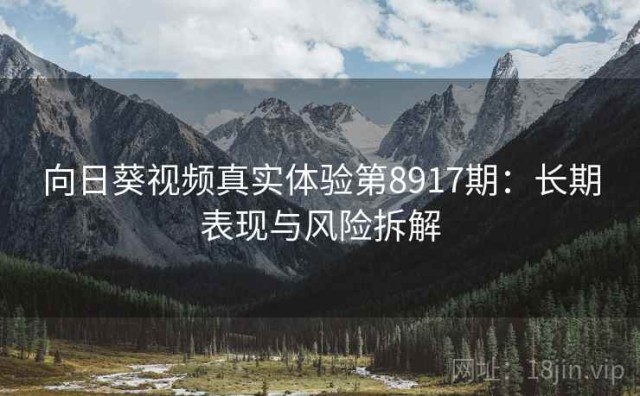 向日葵视频真实体验第8917期：长期表现与风险拆解