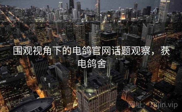 围观视角下的电鸽官网话题观察，获电鸽舍