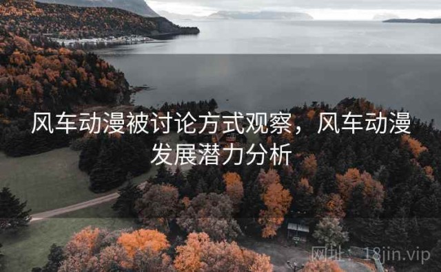 风车动漫被讨论方式观察，风车动漫发展潜力分析