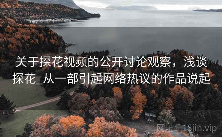 关于探花视频的公开讨论观察，浅谈探花_从一部引起网络热议的作品说起