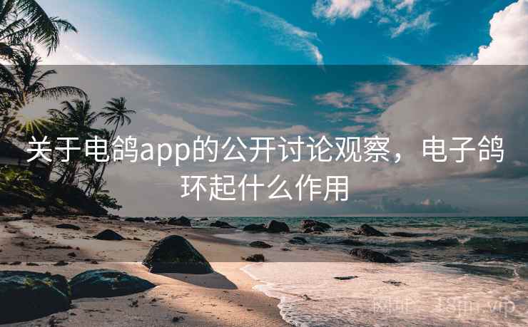 关于电鸽app的公开讨论观察，电子鸽环起什么作用