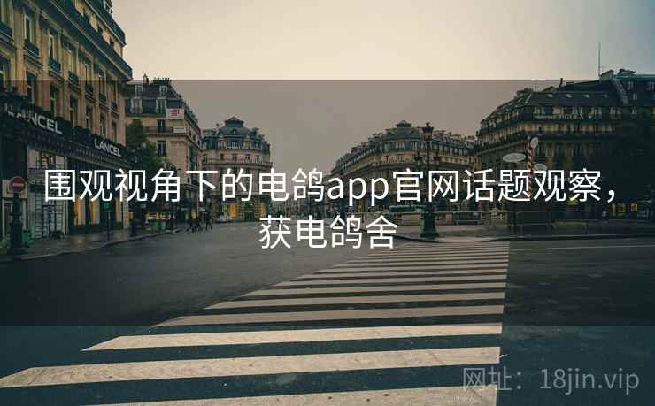 围观视角下的电鸽app官网话题观察，获电鸽舍