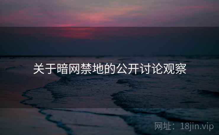 关于暗网禁地的公开讨论观察