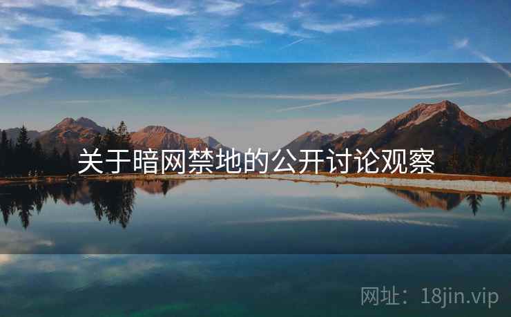 关于暗网禁地的公开讨论观察 关于暗网禁地的公开讨论观察