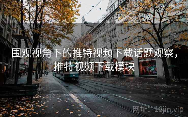 围观视角下的推特视频下载话题观察，推特视频下载模块