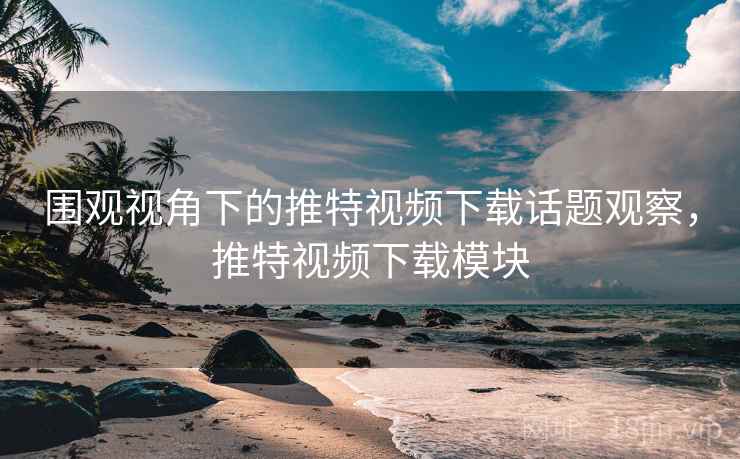 围观视角下的推特视频下载话题观察，推特视频下载模块