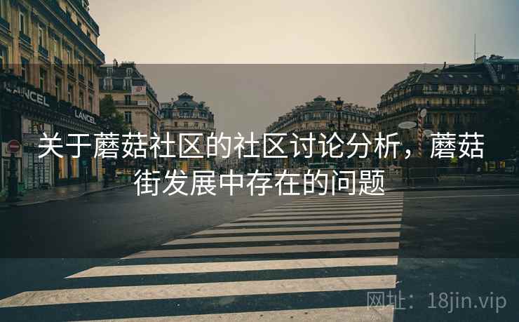 关于蘑菇社区的社区讨论分析，蘑菇街发展中存在的问题