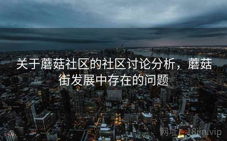 关于蘑菇社区的社区讨论分析，蘑菇街发展中存在的问题