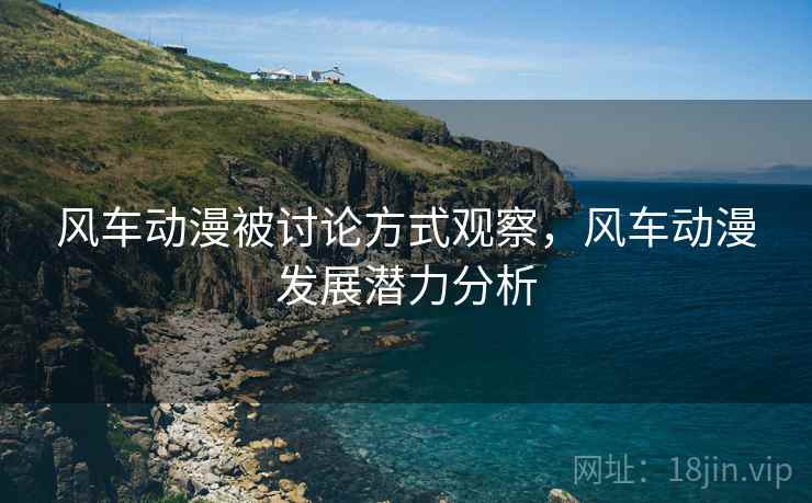 风车动漫被讨论方式观察，风车动漫发展潜力分析