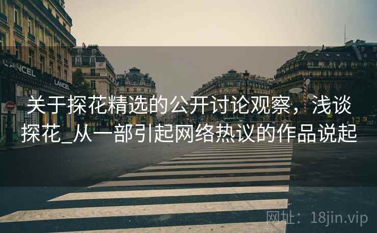 关于探花精选的公开讨论观察，浅谈探花_从一部引起网络热议的作品说起